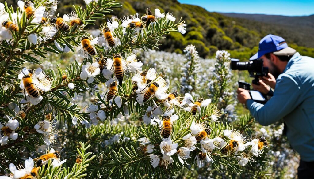 Manuka Honig Forschung