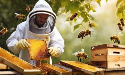 anleitung f r honigverkauf erstellen