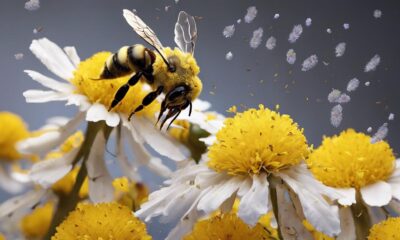 gefahr f r bienenpopulationen