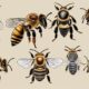 identifikation von honigbienenarten