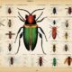 insekten schmerzskala erkl rt detailliert