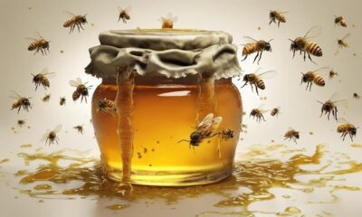 kann honig verderben