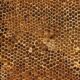uniqueness of linden honey