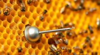Platzierung des Temperatursensors im Bienenstock