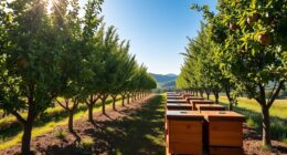idealer Bienenstandort Auswahl