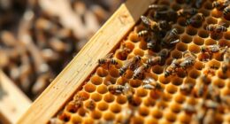 natürliche Varroa-Milbenbekämpfung