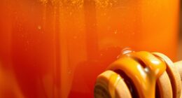 Honig seine ewigen konservierenden Eigenschaften