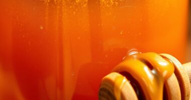 Honig seine ewigen konservierenden Eigenschaften