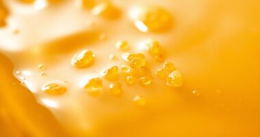 Pollen im Honig Gesundheit