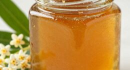 Authentische Manuka-Honig-Erkennung