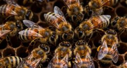 Bienenschwarm Winterüberleben