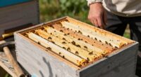 Anfänger installieren oft falsch