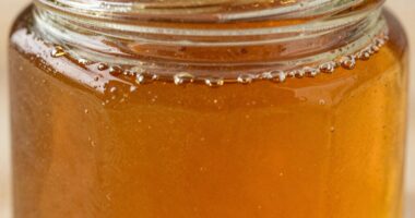 Farbe zeigt die Nahrungsquelle an