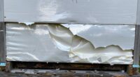 Häufige Fehler, die die Imkerei erschweren