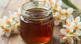 kontroverse Vorteile von Manuka-Honig