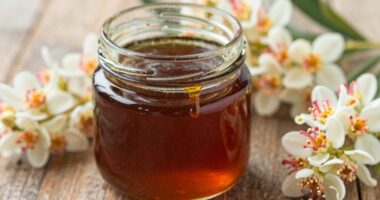 kontroverse Vorteile von Manuka-Honig