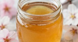 Früher Ernte im Glas