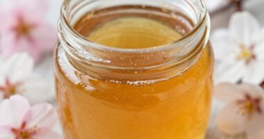 Früher Ernte im Glas