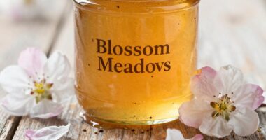 Früchte Obstgarten Blütenhonig