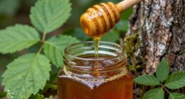 Honiggeschmack variiert stark