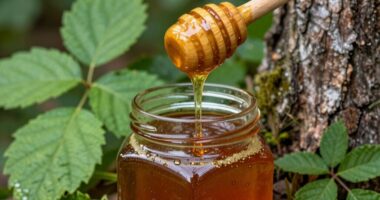 Honiggeschmack variiert stark