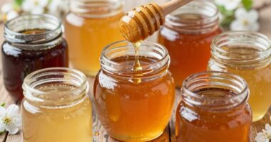 Vergleichstabelle der Honigsorten