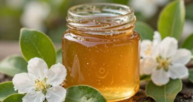 Manuka-Honig stärkt das Immunsystem