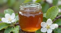 Manuka-Honig für die Haut