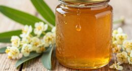 mgo gibt die Wirksamkeit von Manuka-Honig an