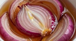 eingelegte rote Zwiebeln mit Honig