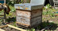 Fertige Bienenstöcke sind nicht immer besser