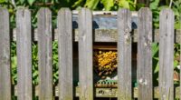 ordnungsgemäße Bienenstockumzäunung