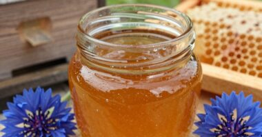 Honigproduktion aus einer einzigen Blume