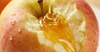 Sticky Harvest Säfte starten