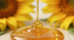 Sonnenblumenhonig Eigenschaften