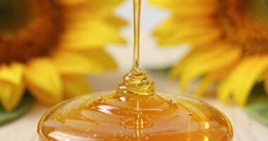 Sonnenblumenhonig Eigenschaften