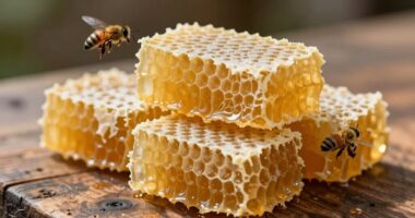 Wachverarbeitung sorgt für Sauberkeit im Bienenstock