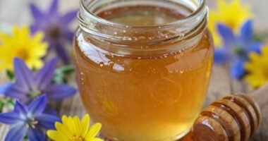 Waldblumenhonig erklärt