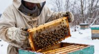 winter beekeeping tasks remaining