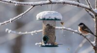 Gefahren der Winterfütterungspause