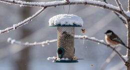Gefahren der Winterfütterungspause