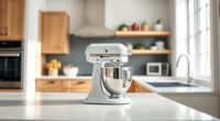 How to Clean a KitchenAid Professional 600 Mixer Safely and Effectively