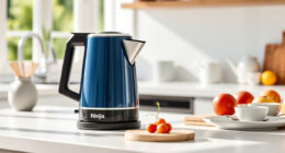 Beat the Heat with the Ninja KT200BL Precision Temp Electric Kettle