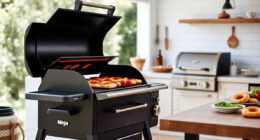 Ninja Outdoor Woodfire Pro XL Grill & Smoker: Your Summer BBQ Companion