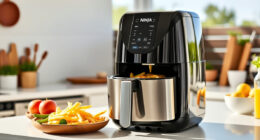Summer Care & Troubleshooting Guide for Ninja Foodi 8 Qt DualZone Air Fryer