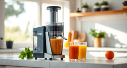 Summer Refresh: Must-Have Accessories for Your Ninja NeverClog Juicer