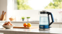 Summer Tips & Hacks for the Ninja KT200BL Precision Electric Kettle