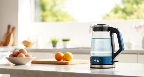 Summer Tips & Hacks for the Ninja KT200BL Precision Electric Kettle