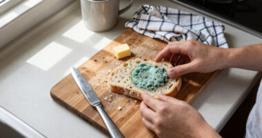 Found A Moldy Slice Of Bread? Here’s Whether You Need To Toss The Whole Loaf