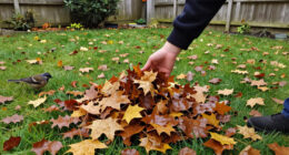 If You Love Birds, Experts Say You Shouldn’t Rake Your Leaves This Fall—Do This Instead
